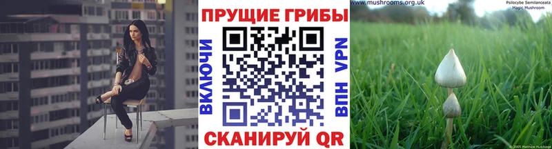 Псилоцибиновые грибы ЛСД Купить Лодейное Поле